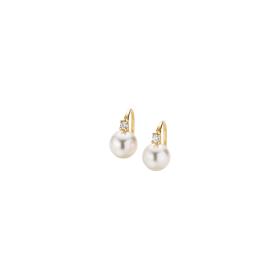 Roségold, Ohrringe, Gellner H2O Ohrhaken 5-22029-01