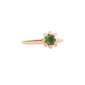         Roségold, Ringe, Bron Sprite Ring 8RR4849GT