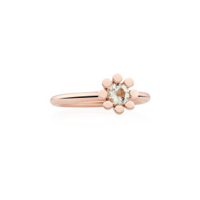         Roségold, Ringe, Bron Sprite Ring 8RR4849LQ