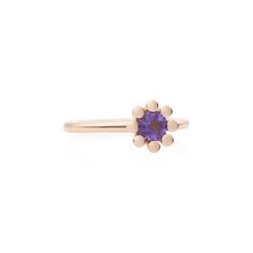 Roségold, Ringe, Bron Sprite Ring 8RR4849AM