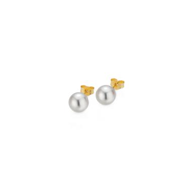 Ohrringe, Gelbgold, Gellner BASICS Ohrstecker