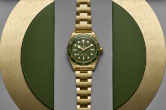 Tudor Black Bay 58 18K Neuheitenkachel